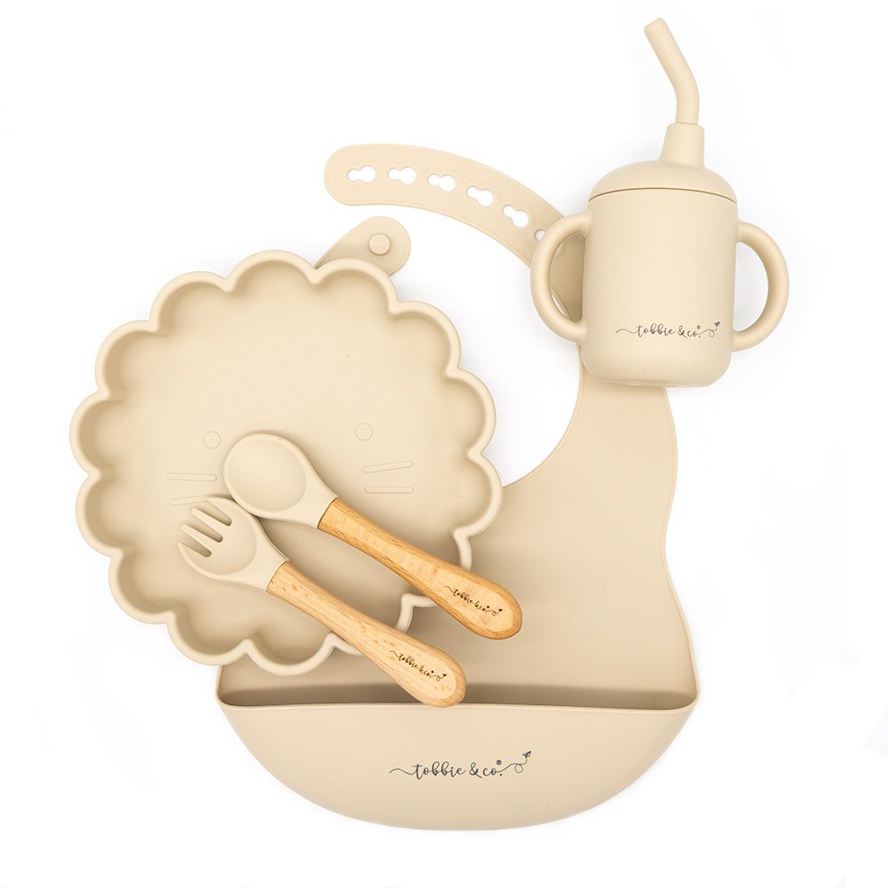 T&C Silicone feeding set